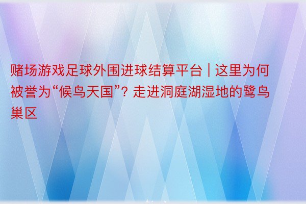 赌场游戏足球外围进球结算平台 | 这里为何被誉为“候鸟天国”? 走进洞庭湖湿地的鹭鸟巢区