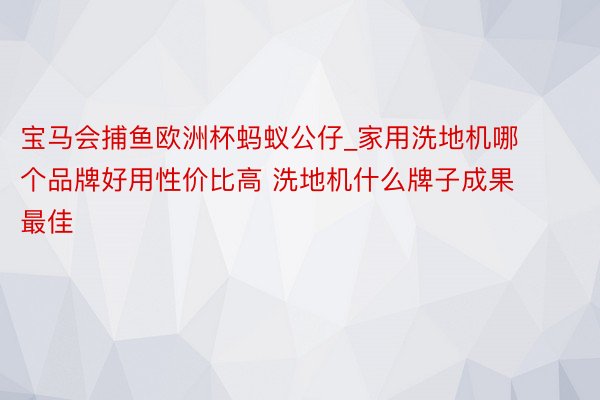 宝马会捕鱼欧洲杯蚂蚁公仔_家用洗地机哪个品牌好用性价比高 洗地机什么牌子成果最佳