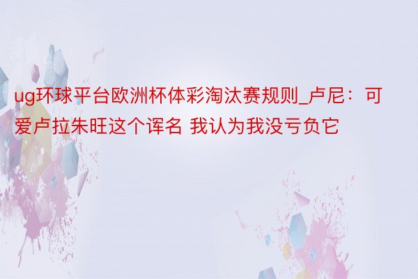 ug环球平台欧洲杯体彩淘汰赛规则_卢尼:可爱卢拉朱旺这个诨名 我认为我没亏负它